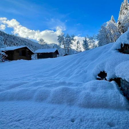 Chalet Birdie Le Grand-Bornand Exteriör bild