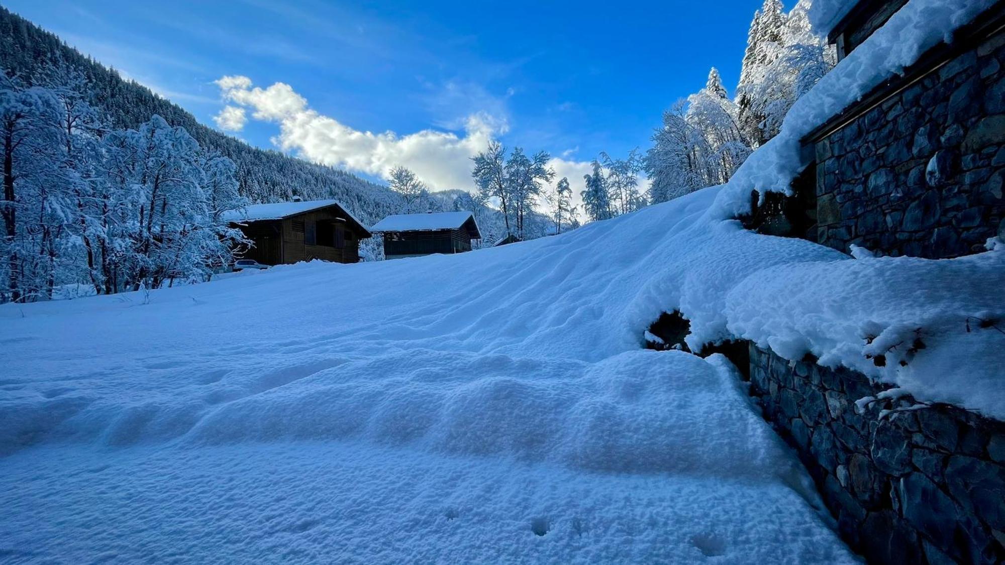 Chalet Birdie Le Grand-Bornand Exteriör bild